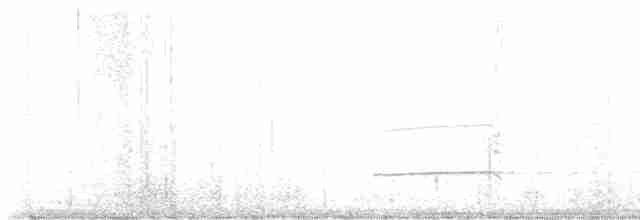 Белоголовый орлан - ML615326834