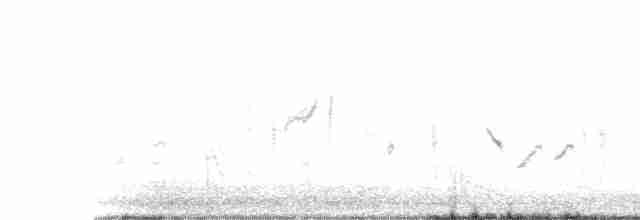 Кропив’янка біловуса - ML615326971