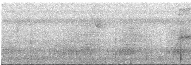 Kısa Kuyruklu Küçük Tiran - ML615327080