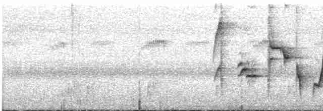 Turuncu Gagalı Bülbül Ardıcı - ML615330738