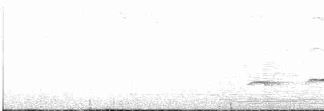 Grallaire de Kaestner - ML615330906