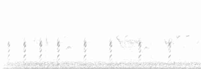 Common Gallinule - ML615332413