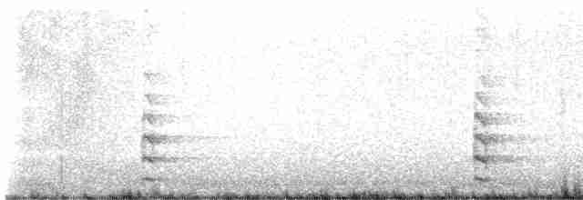 Gallinule d'Amérique - ML615341866