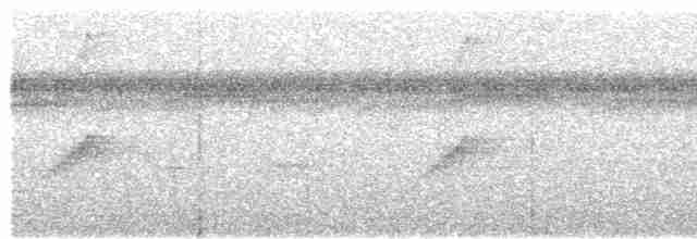 Мухоїд світлогорлий - ML615343593