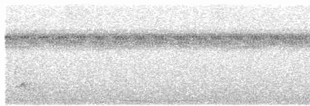 Чешуегорлый колибри-отшельник - ML615343749