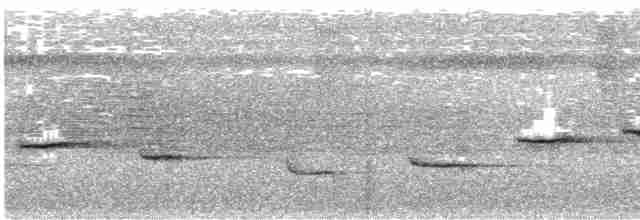 Troglodyte philomèle - ML615347007
