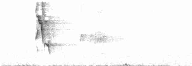 Пересмішник жовтодзьобий - ML615347197