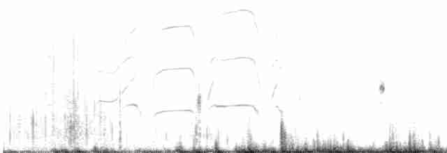 Kara Karınlı Islıkçı Ördek - ML615348402