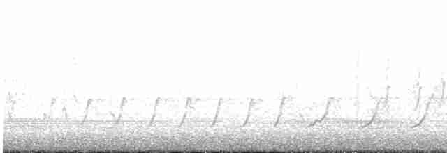 סנונית רפתות - ML615348767