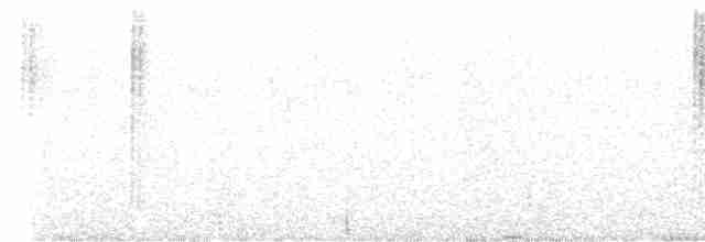 Колібрі-жарокрил синьоголовий - ML615351343