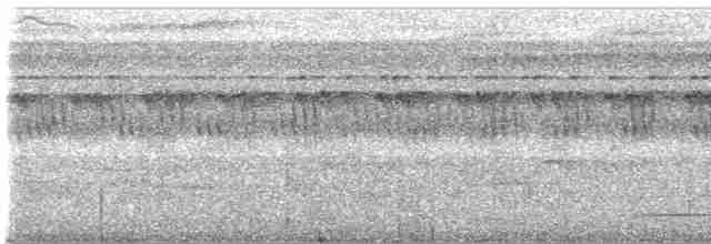 Сероногий скрытохвост - ML615351887