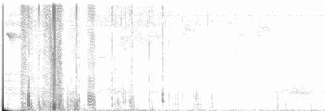 Дятел-смугань сіроголовий - ML615352780