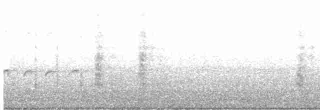 Mirlo Acuático Norteamericano - ML615353172