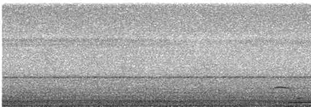 Northern Black-throated Trogon - ML615353200