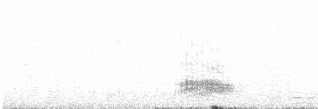 tanımsız karga (Corvus sp.) - ML615354274
