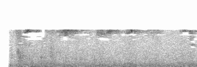 Çizgili Boğazlı Hermit - ML615354469