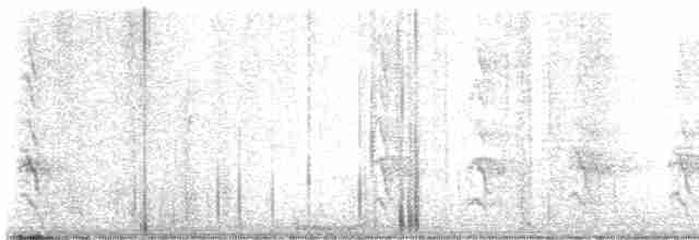 Кактусовый дятел - ML615354868