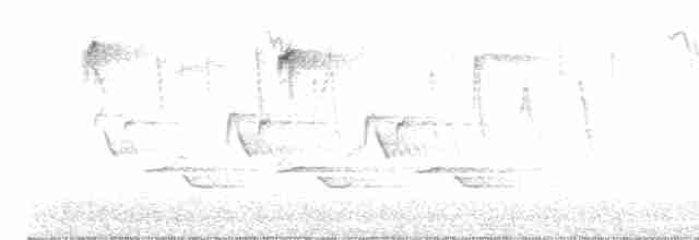 Каролинский крапивник - ML615354997