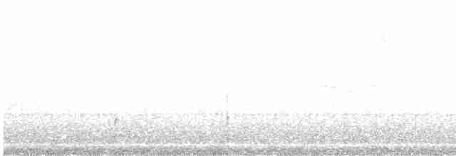 Красноглазая монашка - ML615355568