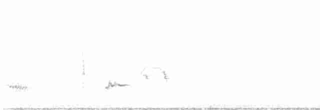 Wüstenspottdrossel - ML615357175