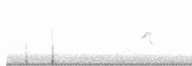 Common Chiffchaff (Common) - ML615359509