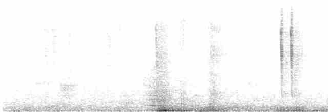 Colibri vesper - ML615364652