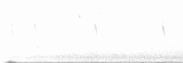 Swamp Sparrow - ML615364802