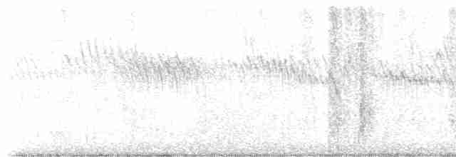 Омелюх звичайний - ML615366252