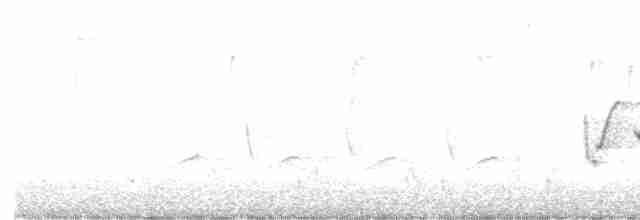 Каролинский крапивник - ML615368253