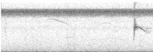 Red-breasted Meadowlark - ML615370275