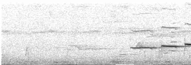 Güneyli Kestanerengi Karıncakuşu - ML615371492