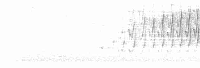 Sivri Gagalı Sepetören - ML615377994
