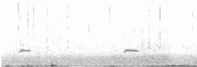 Loggerhead Shrike - ML615380947