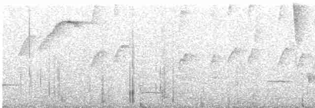 Troglodyte de Negret - ML615381351