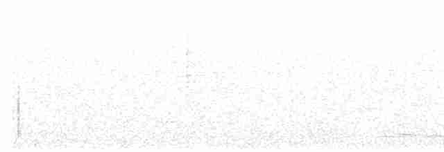 Gray Whistler (Brown) - ML615382793