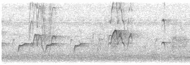 Cava Islıkçı Ördeği - ML615383032