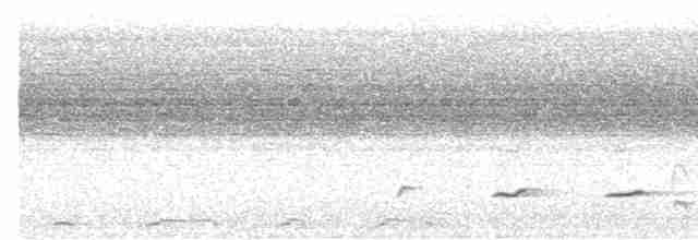 Свистун бурий (підвид simplex/brunnescens) - ML615383141