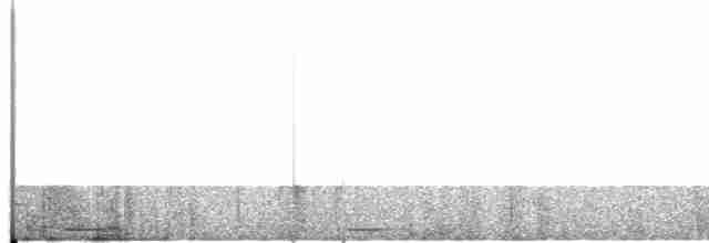 holoubek šedomodrý - ML615385364