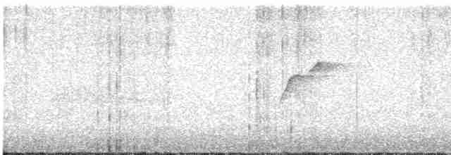 Batı Amerika Sinekkapanı (occidentalis/hellmayri) - ML615388589