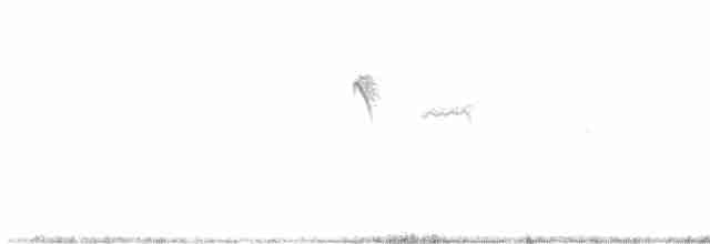Common Kingfisher - ML615388820