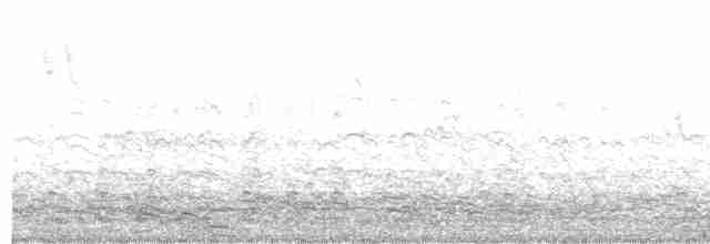 אווז לבן-מצח - ML615390120