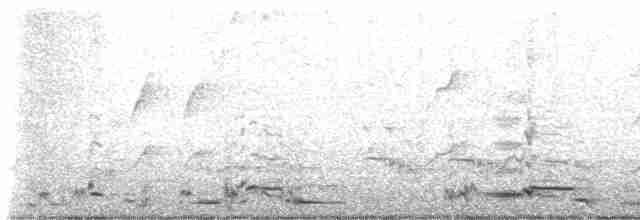 Avustralya Saksağanı - ML615390557