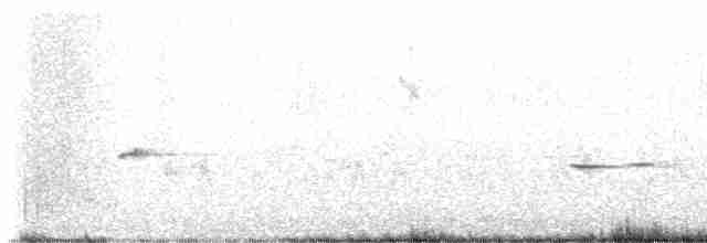 Fleckenpanthervogel - ML615391404