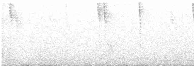 Трав’янчик вусатий - ML615391518