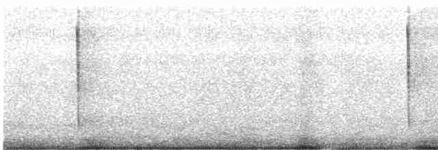 kalypta břitvochvostá - ML615394743