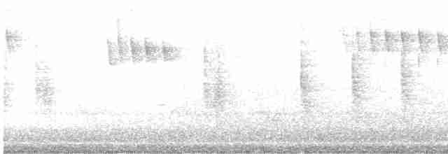 Сичик-горобець магеланський - ML615394797
