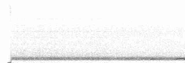 Chouette rayée - ML615395224