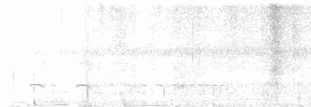 White-flanked Antwren - ML615398445