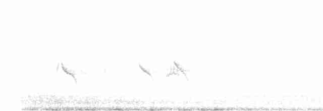 Evening Grosbeak (type 1) - ML615398797
