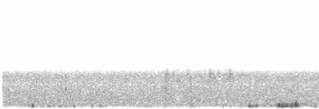 Белая лазоревка [группа cyanus] - ML615400115